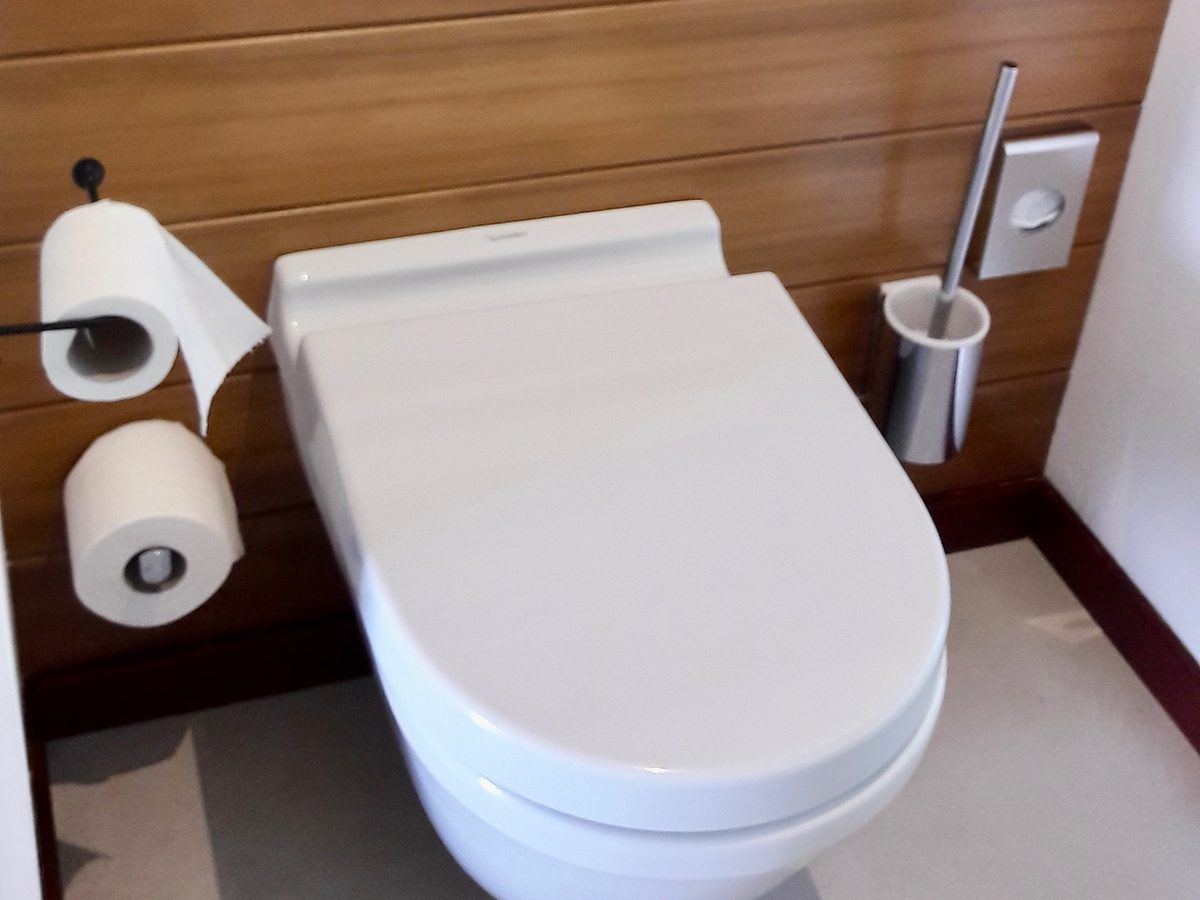 WC suspendu, plaque de commande et accessoires inox, Blue Margouillat